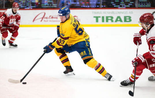 Under ishockeymatchen i SHL mellan Timrå och Djurgården