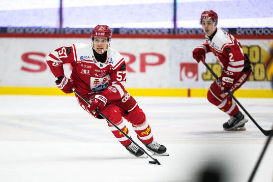 Timrås Anton Wedin