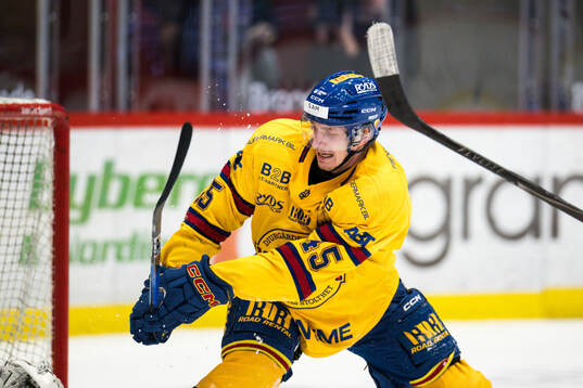 Djurgårdens Hugo Blixt