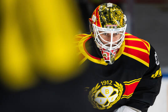 Brynäs målvakt Damian Clara