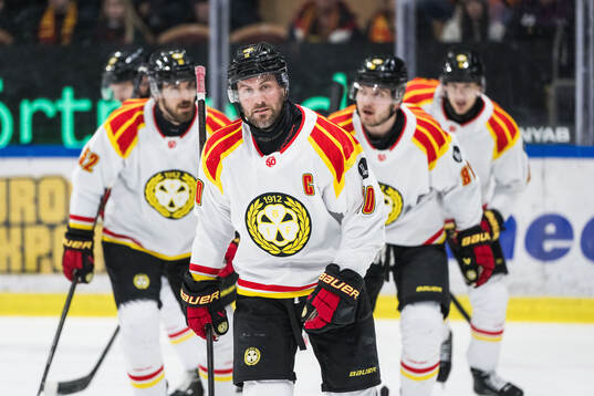 Brynäs Johan Larsson jublar