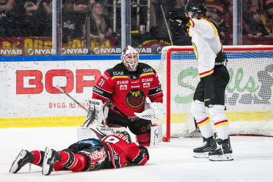 Luleås målvakt Matteus Ward deppar