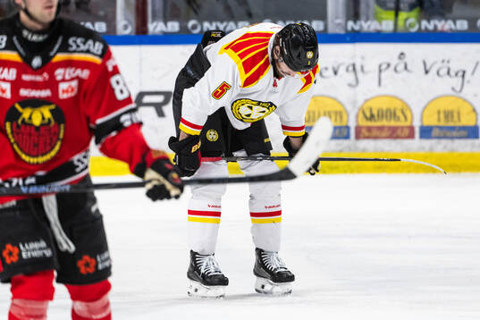 Brynäs Michal Kempny deppar