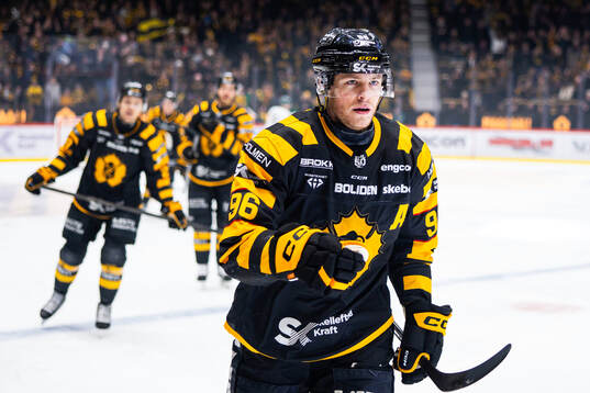 Skellefteås Rickard Hugg jublar