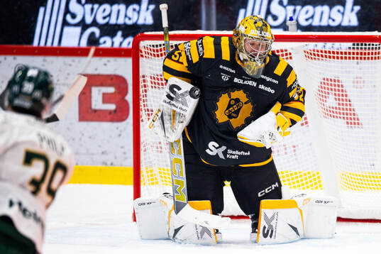 Skellefteås målvakt Linus Söderström