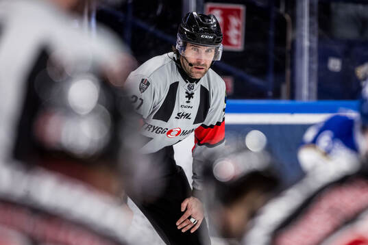 Domare Mikael Sjöqvist