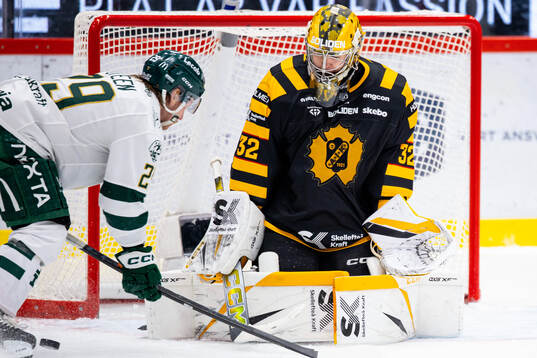 Skellefteås målvakt Linus Söderström