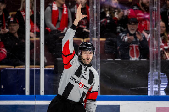 Domare Mikael Sjöqvist