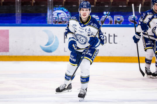 Leksands Lukas Vejdemo jublar