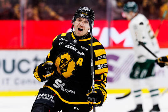Bläddra bland fler bilder av Ishockey, SHL, Skellefteå - Färjestad