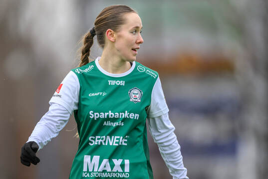 Alingsås Minni Laukka