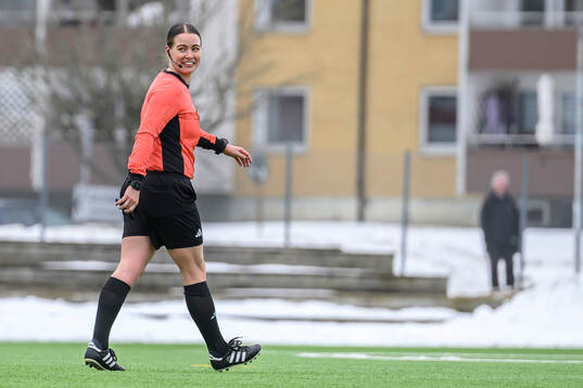 Domare Camilla Friberg