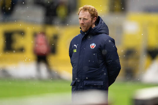 Helsingborgs manager Stevie Grieve