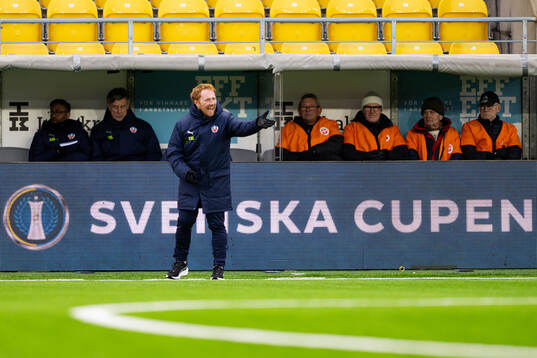 Helsingborgs manager Stevie Grieve