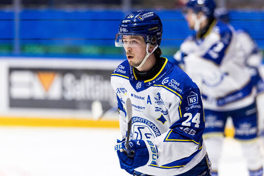 Leksands Arvid Eljas