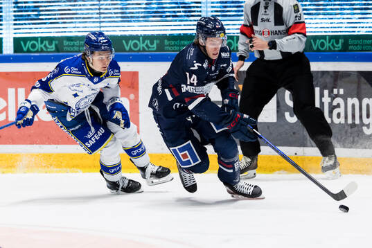 Leksands Rocky Langvardt och Linköpings Loke Krantz
