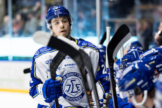 Leksands Arvid Eljas