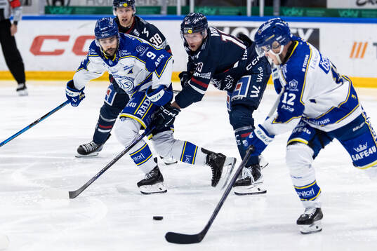 Leksands Gabriel Fortier och Linköpings Jakub Vrana