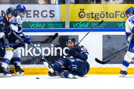 Linköpings David Bernhardt