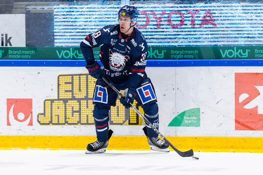 Linköpings Johan Södergran