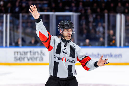 Domare Richard Magnusson