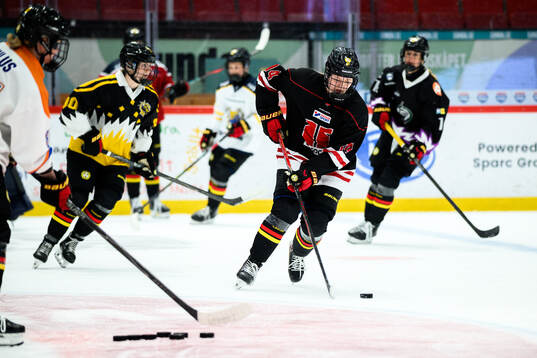 Brynäs Anna Brenkle