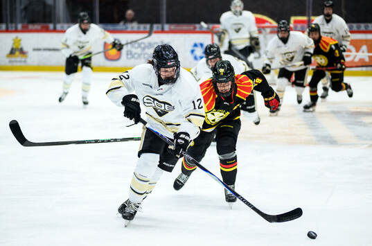 Bläddra bland fler bilder av Ishockey, SDHL, Brynäs - SDE