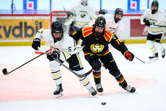 SDEs Hilda Ljungberg och Brynäs Elin Svensson