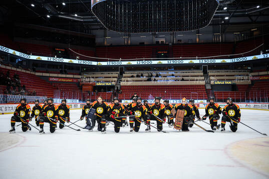 Brynäs spelare jublar