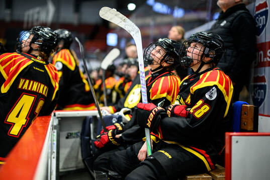Brynäs Jenny Antonsson