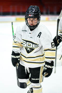 SDEs Lisa Johansson
