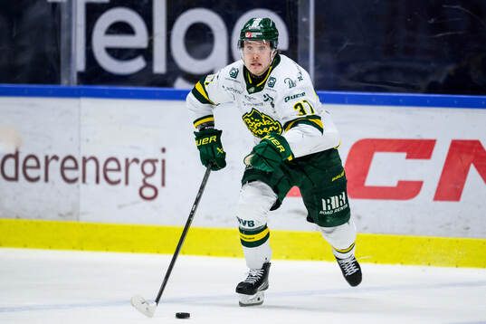Björklövens Lenni Killinen