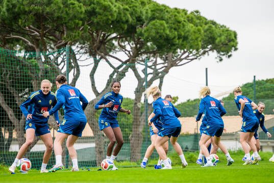Players of the Swedish women's national football at a
