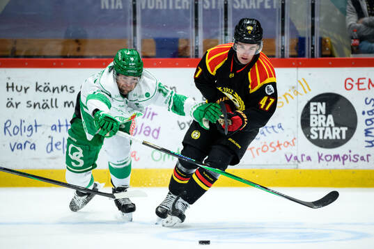 Rögles Lukas Ekeståhl-Jonsson och Brynäs Lucas Pettersson