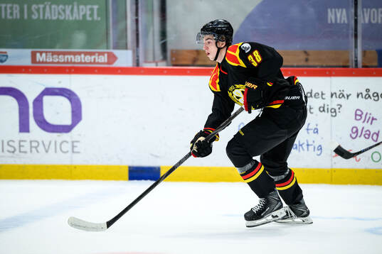 Brynäs Gustav Hillström