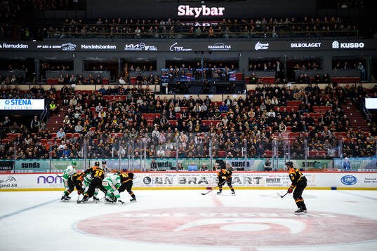 Monitor ERP Arena