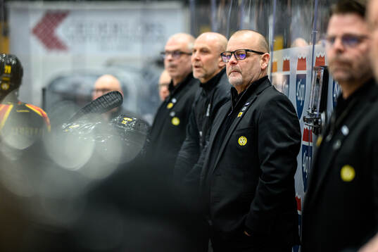 Brynäs tränare Niklas Gällstedt