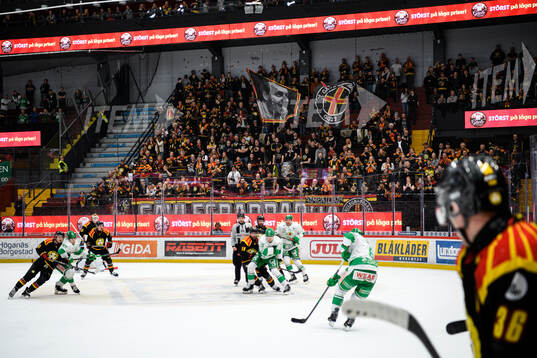 Monitor ERP Arena