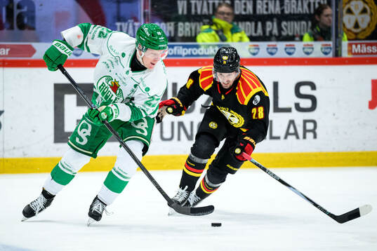 Rögles Fredrik Olofsson och Brynäs Johannes Kinnvall