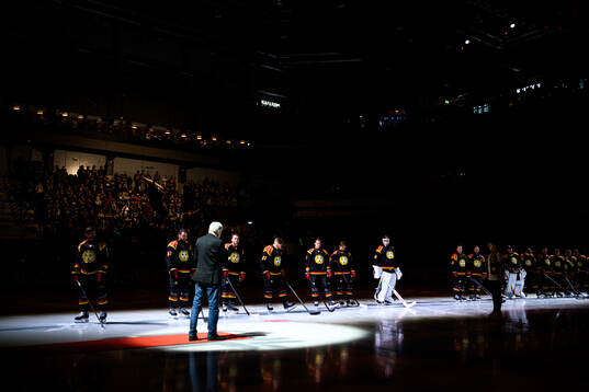 Brynäs spelare