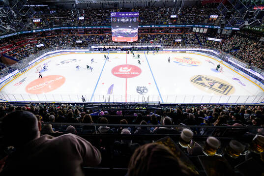 Leksands och Färjestads spelare