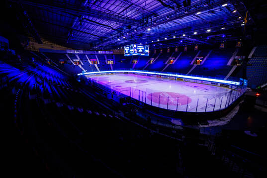 Hovet