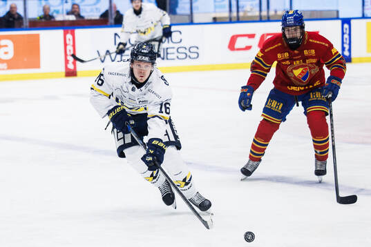HV71s Linus Lindström