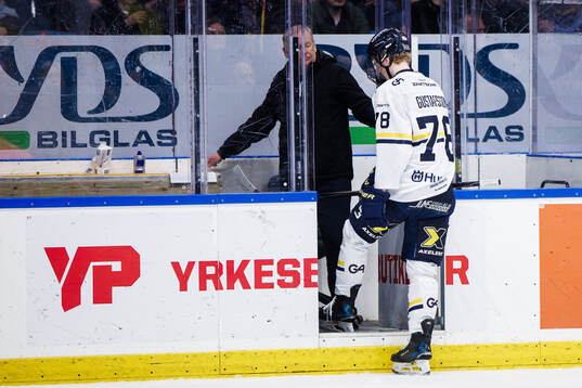 HV71s Malte Gustafsson