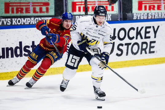 HV71s Andreas Borgman och Djurgårdens Anton Frondell