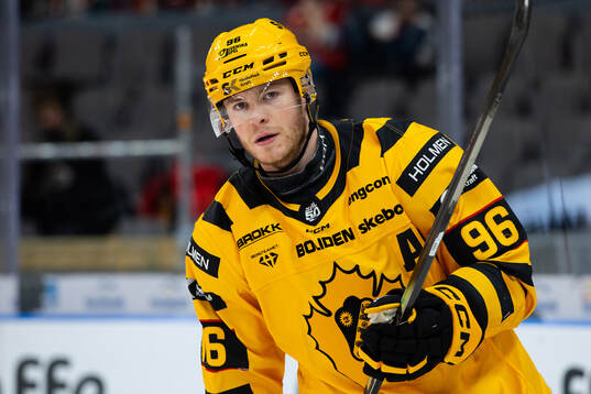 Skellefteås Rickard Hugg