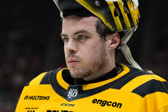 Skellefteås målvakt Strauss Mann