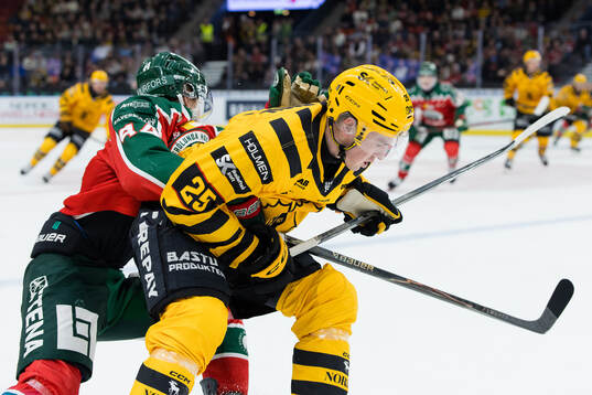 Skellefteås Pontus Johansson