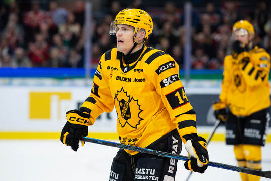 Skellefteås Andreas Johnson