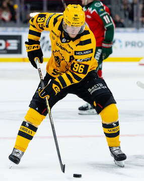 Skellefteås Rickard Hugg